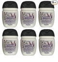 Bath and Body Works Classic and Seasonal Scents Pocketbac Gel Sanitizers by BathBodyWorks