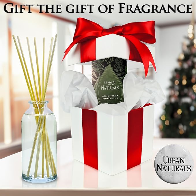 Urban Naturals Pine Forest Reed Diffuser Set - Image 9