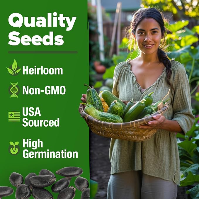 HOME GROWN Luffa Seeds 80+ Heirloom Non-GMO Loofah Gourd Seeds - Image 3