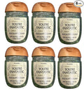 Bath and Body Works Classic and Seasonal Scents Pocketbac Gel Sanitizers by BathBodyWorks