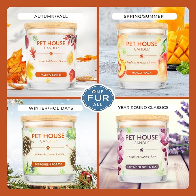 One Fur All Pet House Candle Plant-Based/Soy - Image 4