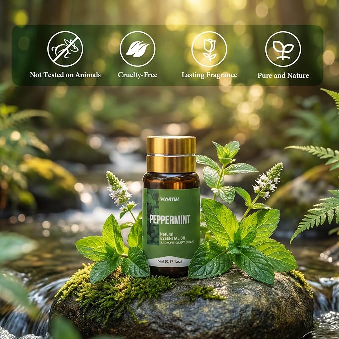 20 Pcs Essential Oil Set - Image 2