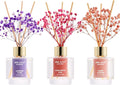Airkeep Reed Diffuser Set of 3, Lavender Thyme Sandalwood Rose Cherry Blossom by Airkeep