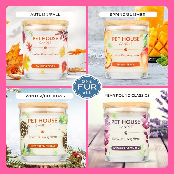 Pet House Candles, Clean Burning, Long Lasting Pet Odor Candles, Plant-Based - Image 4