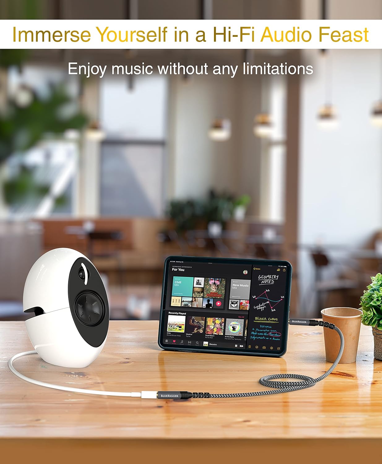 BlueRigger Headphone Extension Cable (25FT, 24K Gold Plated Jack, Hi-Fi Sound, 3.5mm Male to Female Stereo Audio Cable) – Aux Cord for iPod, Laptops, Smartphones, Speakers, Tablets, Home Car Stereo