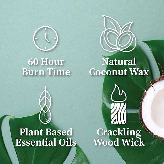 Hemlock Park Crackling Wood Wick Candle Handcrafted - Image 4