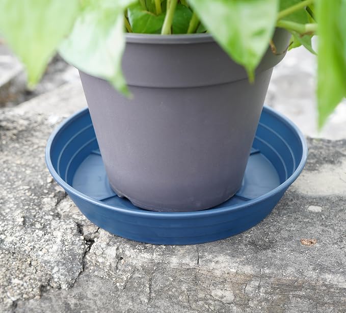 Plant Saucer 8 Inch 4 Pack 6 8 10 12 14 16 18 20 25, Plastic Plant Trays - Image 4