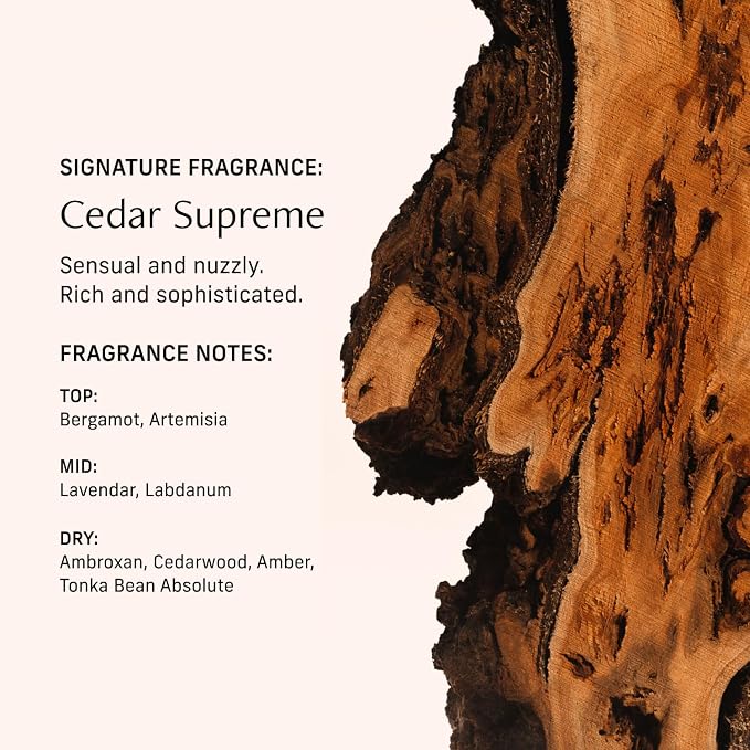 CYKLAR Perfume Oil for Skin – Cedar Supreme Scent – Crisp, Aromatic & Warm - Image 4