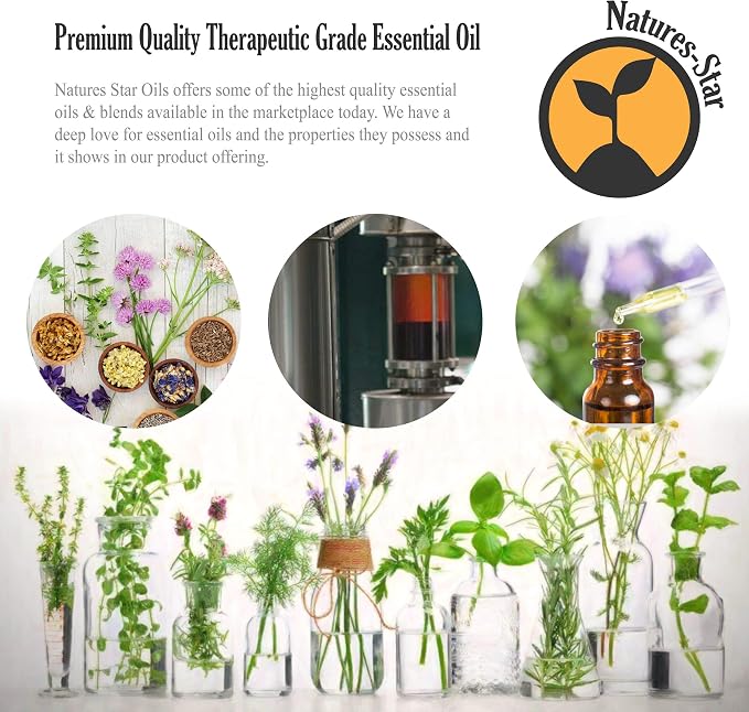 Natures-Star 2 Pack 16oz Bulk Size Tea Tree Essential Oil - Image 4
