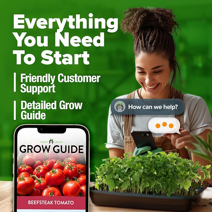 HOME GROWN Beefsteak Tomato Seeds 600+ Heirloom Non-GMO Seeds - Image 8