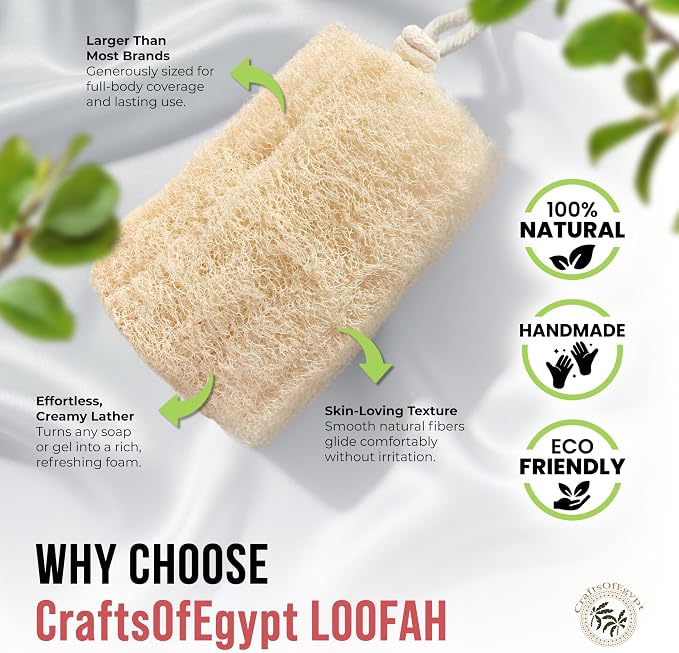 CraftsOfEgypt Natural Loofah Sponge – Egyptian Luffa Body Scrubber Pack of 4 - Image 3