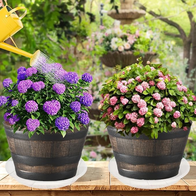 2 Pack of Clear Plant Saucer 12 inch, Heavy Duty Plant Trays - Image 6