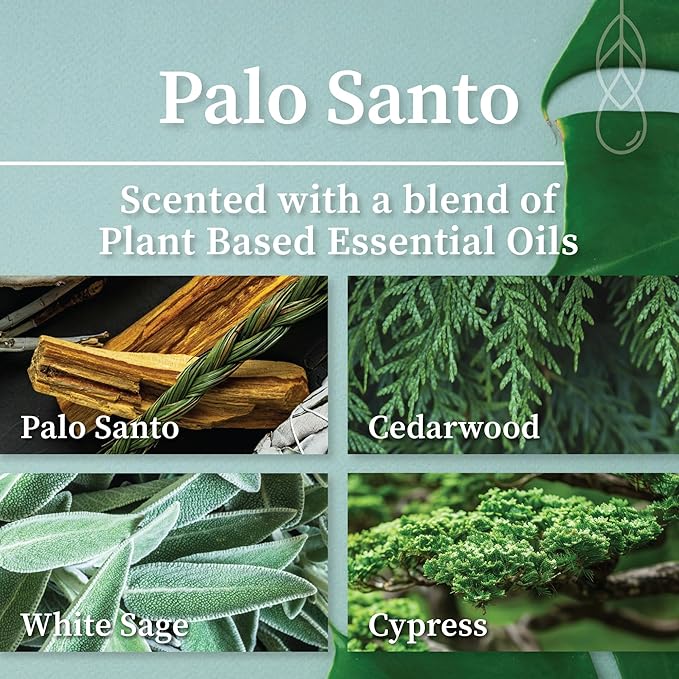 Hemlock Park Palo Santo Room & Linen Spray | Botanical Mist Crafted - Image 2