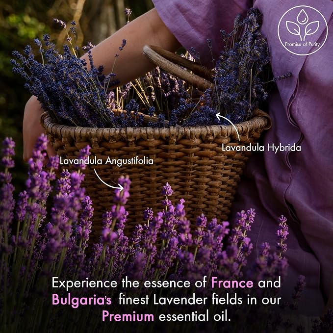 Majestic Pure Essential Oil - Image 4
