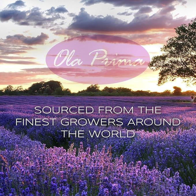 Ola Prima Vanilla Essential Oil 16oz – Therapeutic Grade Big Bottle - Image 4