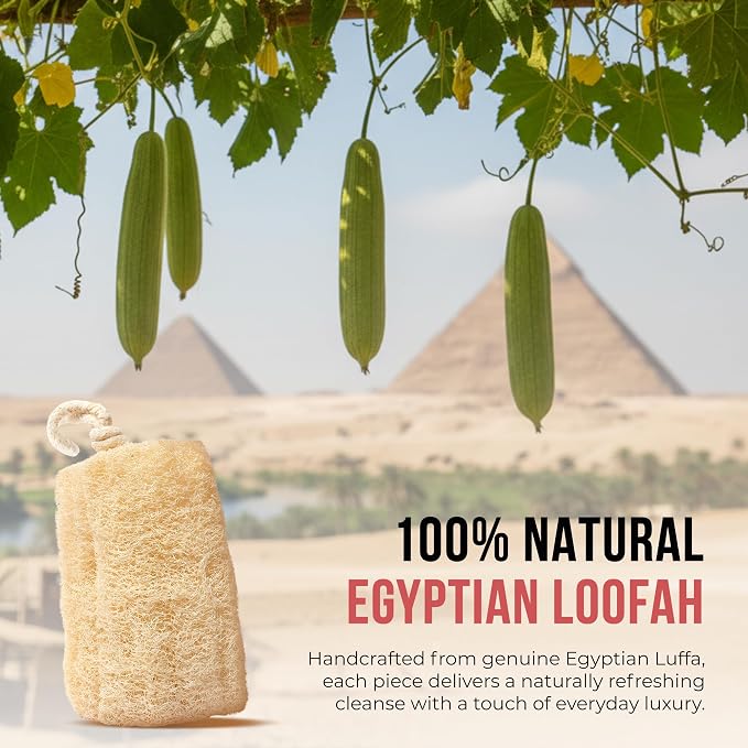 CraftsOfEgypt Luffa Body Scrubber – Plant-based Egyptian loofah shower sponge - Image 5