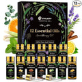 Essential Oils Set, Humidifiers, Skin Care, Fragrance Oil Scent by Ethlauff