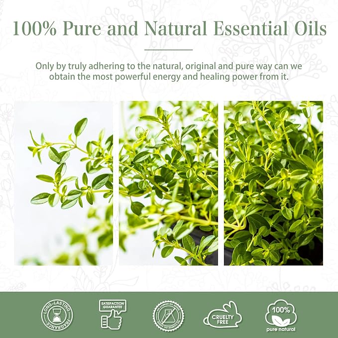 Thyme 3.38fl.oz Essential Oil, PHATOIL Aromatherapy Essential Oils - Image 7