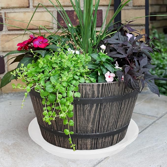 2 Pack of Clear Plant Saucer 12 inch, Heavy Duty Plant Trays - Image 7