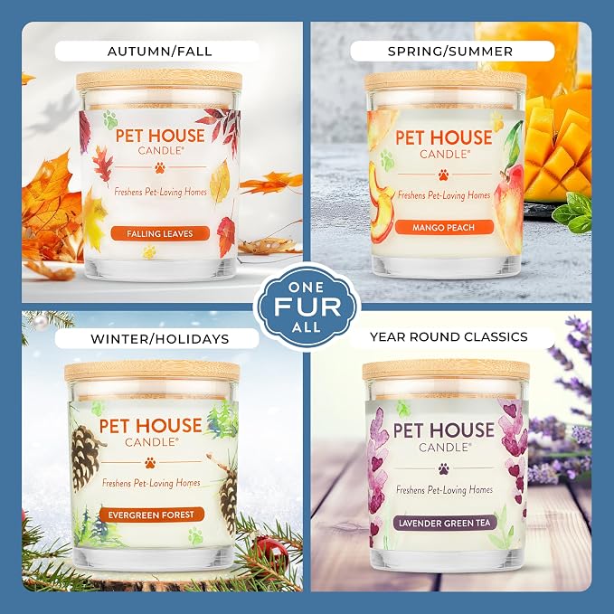Pet House Cucumber Candles, Natural Scented Candles - Image 3
