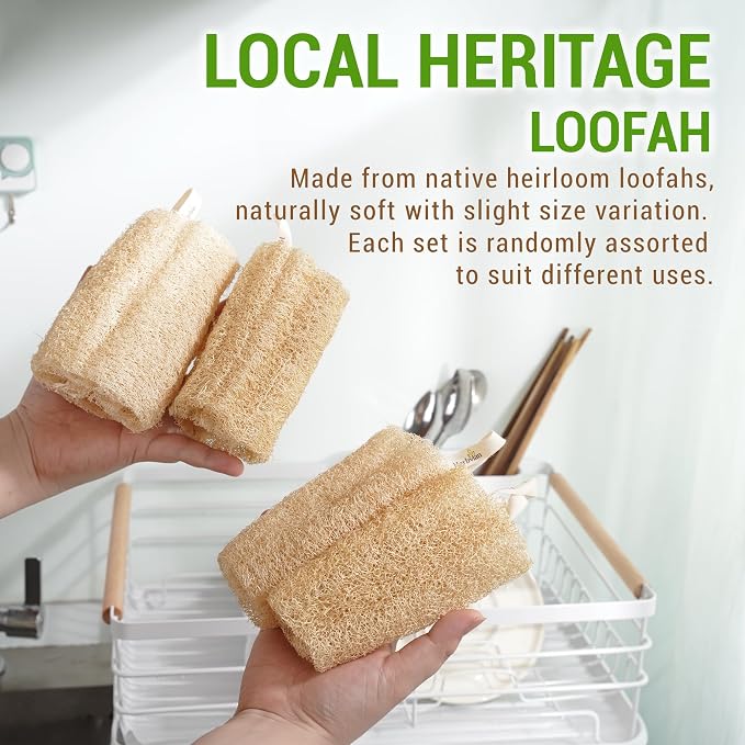 Natural Vietnamese Loofah Sponge, 100% Plant-Based Luffa Exfoliating Body - Image 6