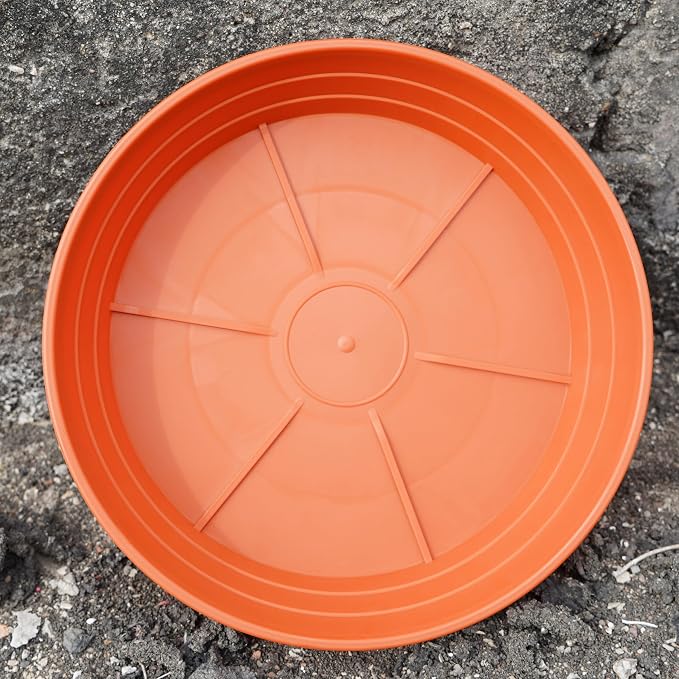 Plant Saucer 6 Inch 4 Pack 6 8 10 12 14 16 18 20 25, Plastic Plant Trays - Image 6