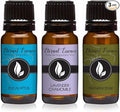 Trio - Eucalyptus, Lavender Chamomile & Frankincense - Premium Fragrance Oil by EternalEssenceOils