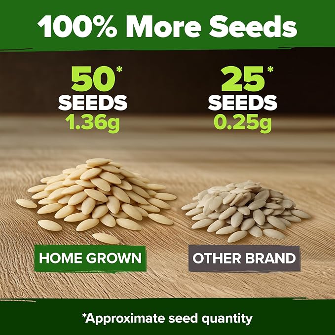 HOME GROWN Persian Cucumber Seeds 50+ Heirloom Non-GMO, Beit Alpha Variety - Image 3