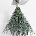 30 Pcs Dried Eucalyptus Stems 17" Real Eucalyptus by FAVOWREATH