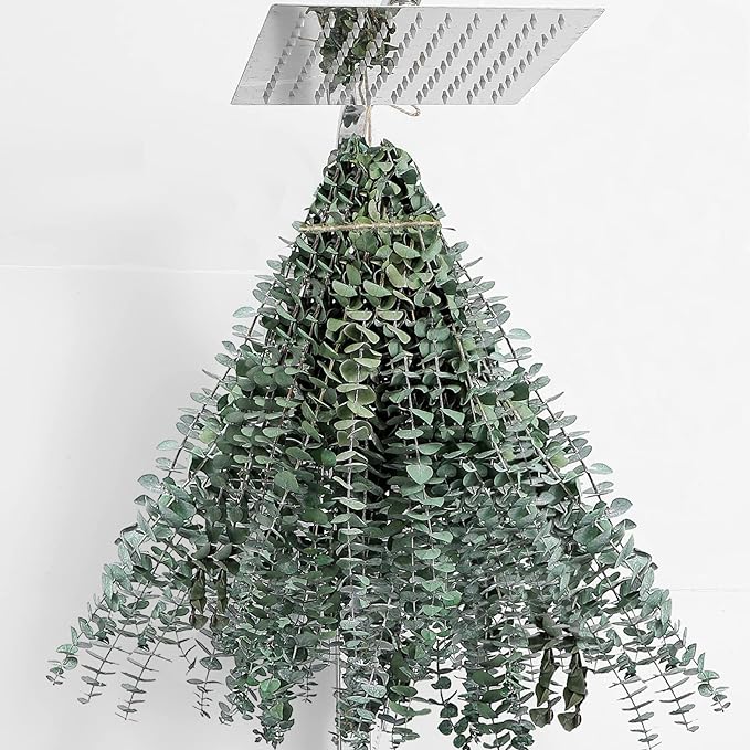 30 Pcs Dried Eucalyptus Stems 17" Real Eucalyptus by FAVOWREATH
