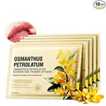 AKARY 10Pcs Osmanthus Nourish & Tender Lip Mask, Radiant & Tender, Smoothing by AKARY