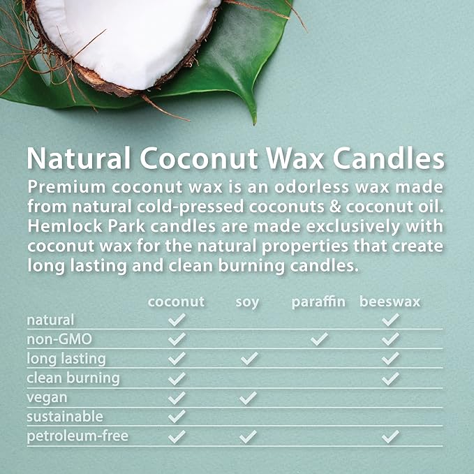 Hemlock Park Foxtail Fir Apothecary Hand-Poured Scented Candle | Crackling Wood - Image 5