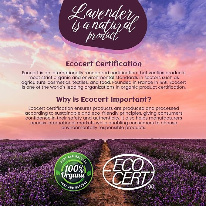 Soap Infused Sponge Scrubber – Farm Fresh Lavender Essential Oil – 2-in-1 - Image 8