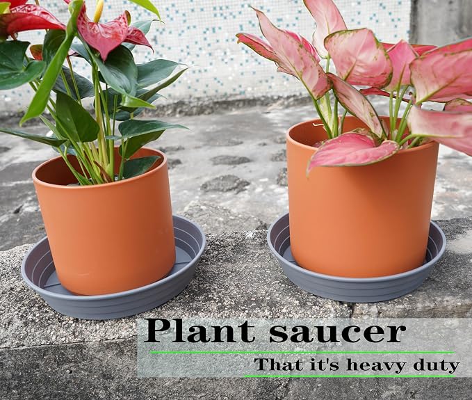 Plant Saucer 6 Inch 4 Pack 6 8 10 12 14 16 18 20 25, Plastic Plant Trays - Image 3