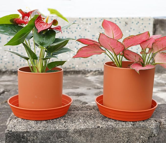 Plant Saucer 6 Inch 4 Pack 6 8 10 12 14 16 18 20 25, Plastic Plant Trays - Image 3