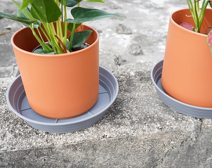 Plant Saucer 8 Inch 4 Pack 6 8 10 12 14 16 18 20 25, Plastic Plant Trays - Image 6