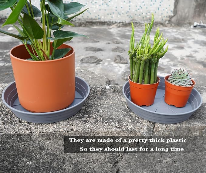 Plant Saucer 8 Inch 4 Pack 6 8 10 12 14 16 18 20 25, Plastic Plant Trays - Image 5