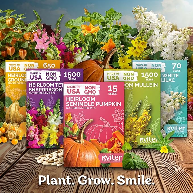 KVITER 600 Detroit Dark Red Beet Seeds - Image 7