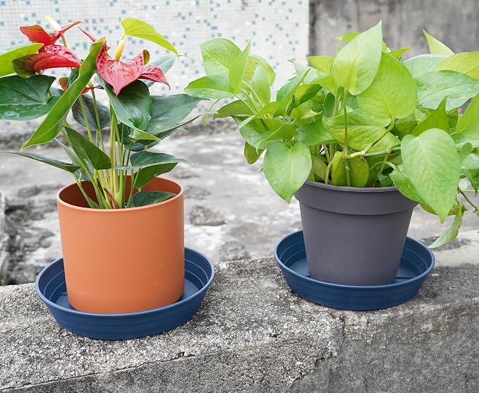 Plant Saucer 6 Inch 4 Pack 6 8 10 12 14 16 18 20 25, Plastic Plant Trays - Image 3