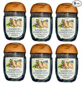 Bath and Body Works Classic and Seasonal Scents Pocketbac Gel Sanitizers by BathBodyWorks