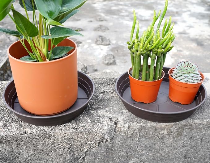Plant Saucer 6 Inch 4 Pack 6 8 10 12 14 16 18 20 25, Plastic Plant Trays - Image 3
