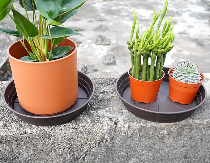 LWALRS Plant Saucer 14 Inch 4 Pack 6 8 10 12 14 16 18 20 25, Plastic Plant Trays - Image 3