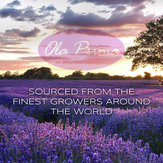 Ola Prima 4oz Patchouli Essential Oil - Image 3